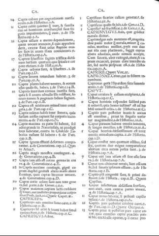 Fol.XXIIv