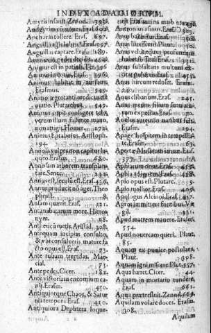 a2v