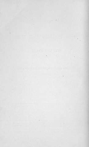 262