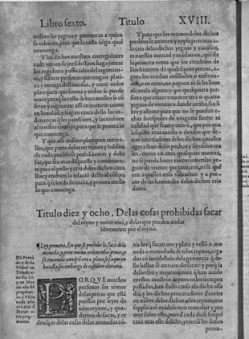 Fol.55v