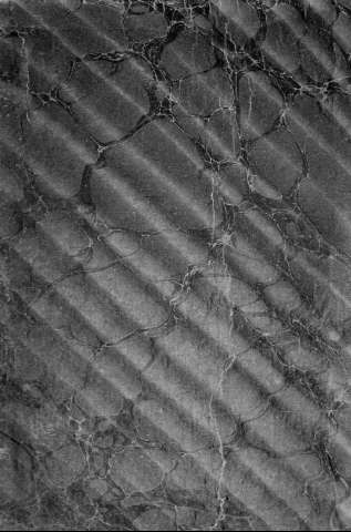 [Guarda]