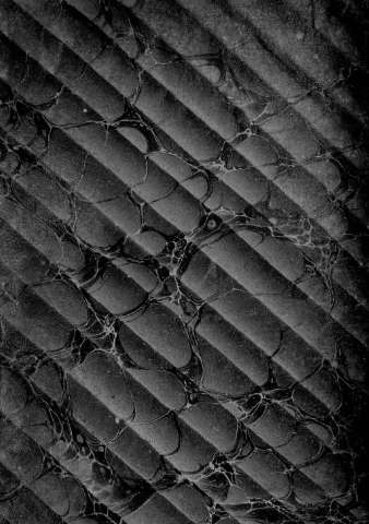 [Guarda]