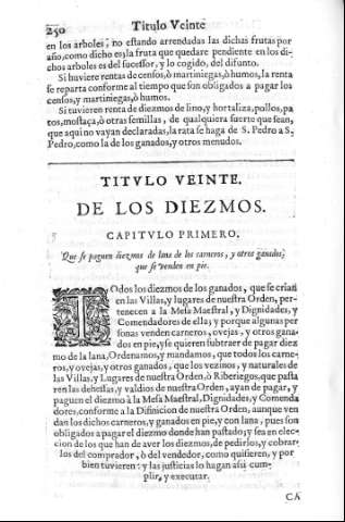250
