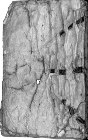 [Cubierta]