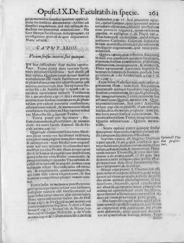 261