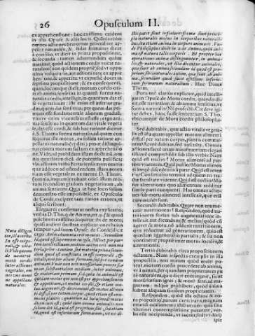 26