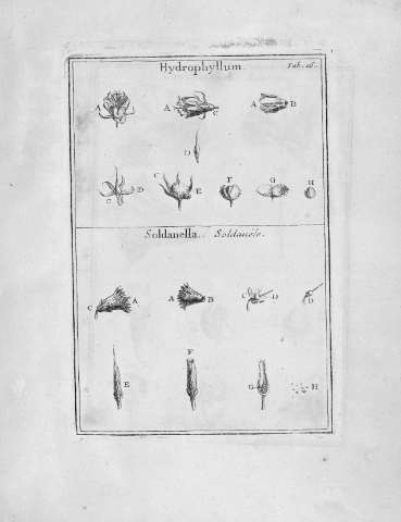 Tab.16r