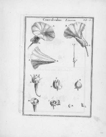 Tab.17r