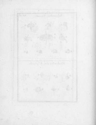 Tab.18v