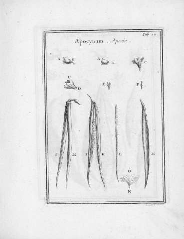 Tab.20r