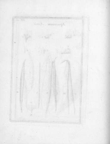 Tab.20v