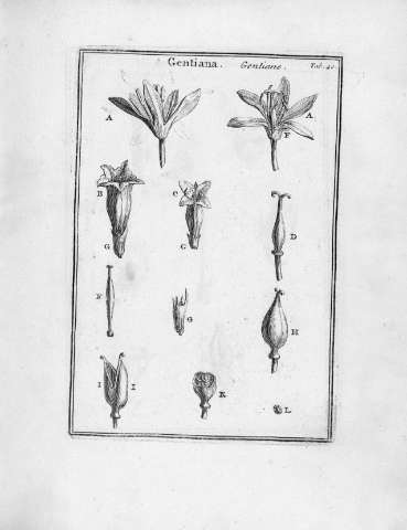 Tab.40r