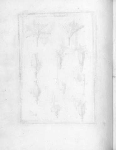 Tab.40v