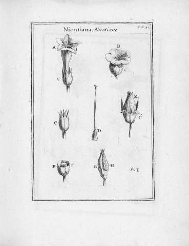 Tab.41r