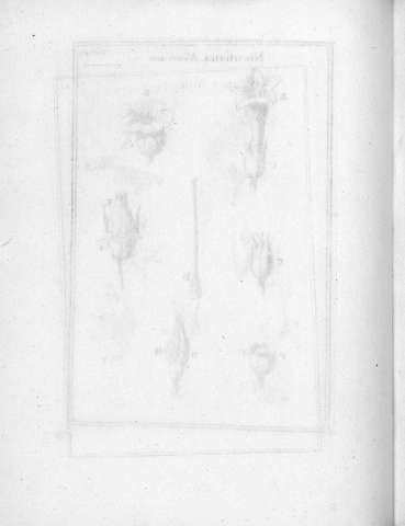 Tab.41v