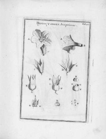 Tab.42r