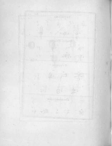 Tab.103v