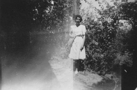 Image de la couverture