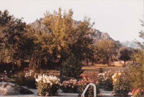 Image de la couverture
